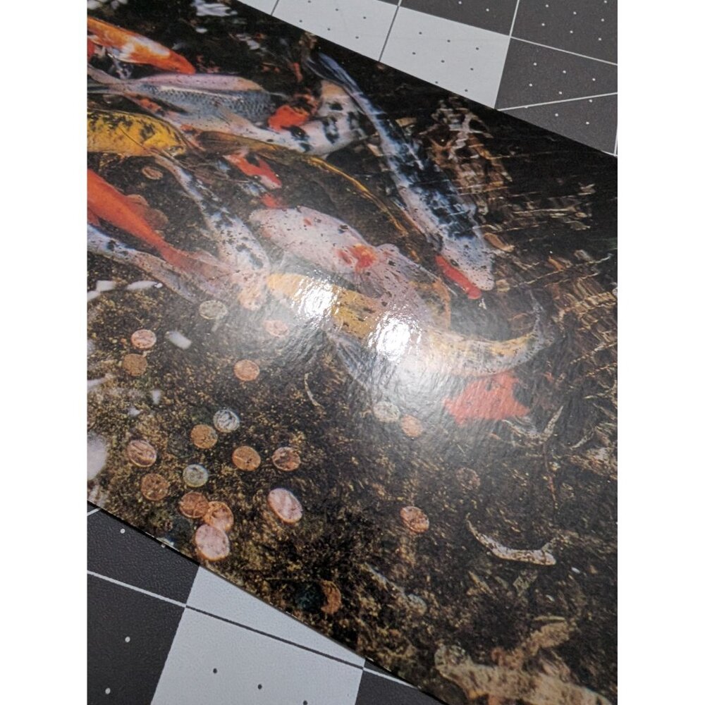 Animals of Iowa Post Cards lot 2 Pheasant Koi Des Monies Botanical Garden unpost - Picture 4 of 6